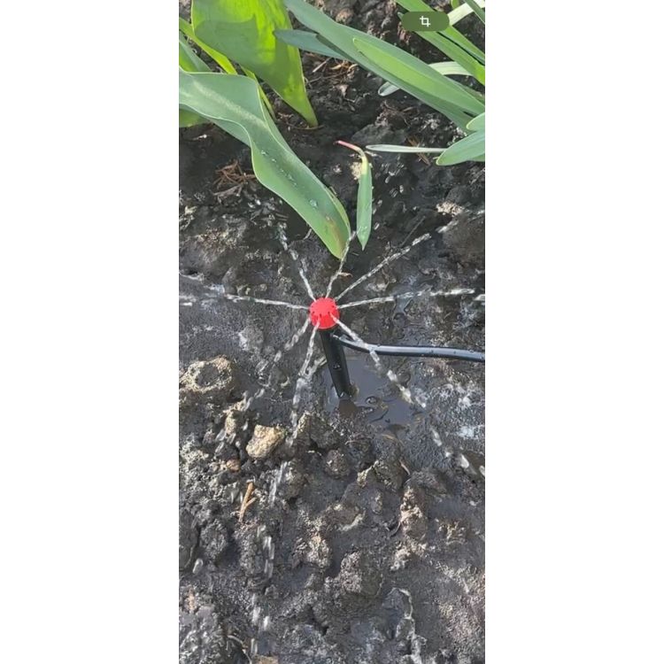 Капельница садовая Presto-PS регулируемая 0-80 л/ч на стойке, в упаковке - 50 шт. (AS-M69) - 12