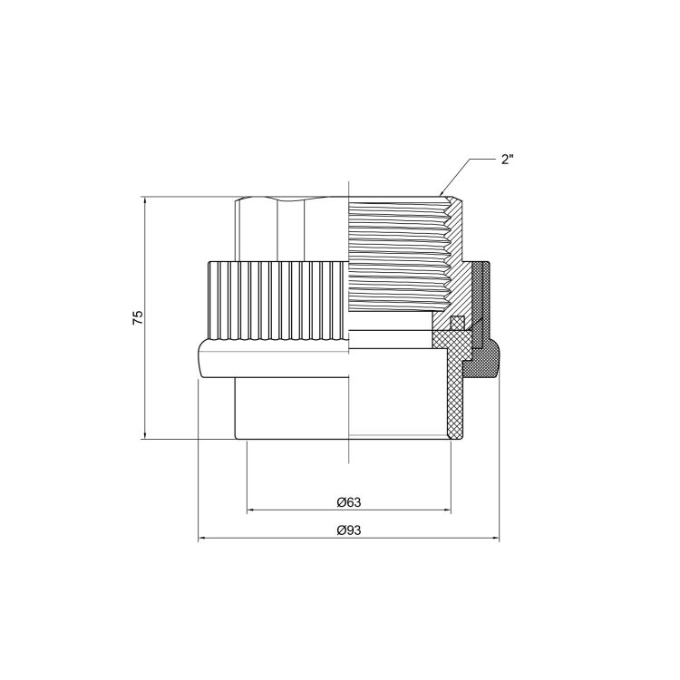 Муфта PPR Thermo Alliance 63х2&amp;quot; ВР - 2
