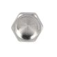 Заглушка SD Forte 1/2&amp;quot; ВР - 6