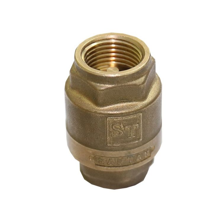 Зворотній клапан SANTAN Premium 3/4&amp;quot; латунний шток - 1