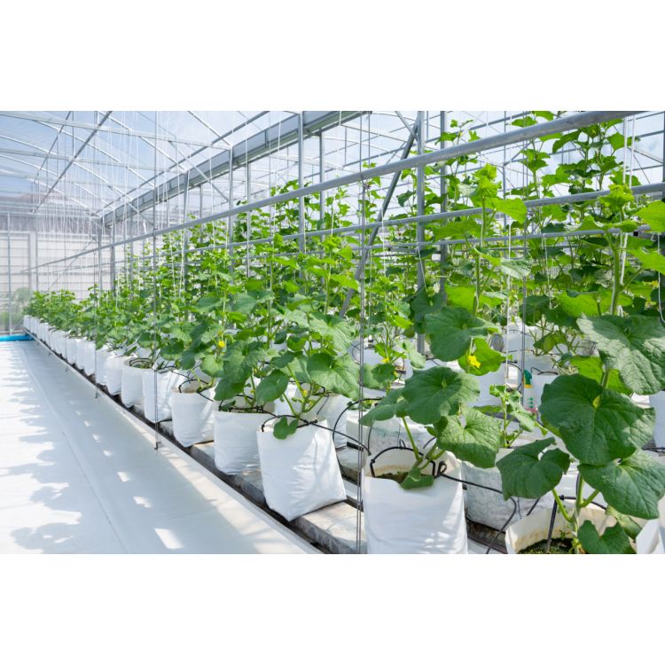 Капельница садовая Presto-PS (2102B) - 7