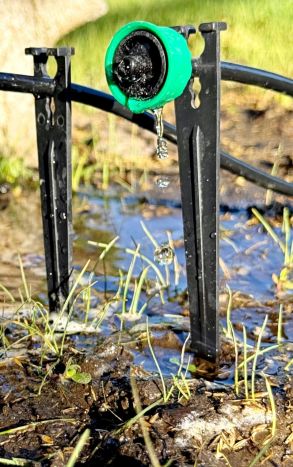 Капельница садовая Presto-PS дозированно-компенсированная на 4 л/час (5104) - 5