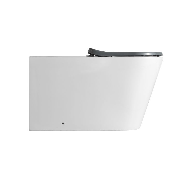 Унітаз підлоговий Freedom інклюзивний безбачковий Rimless сидіння Slim Duroplast/Soft-close/Quickrelase 800x365x435 мм WHITE Qtap - 5