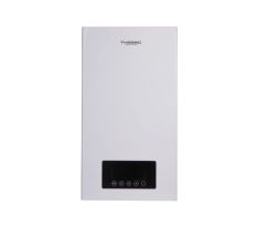 Котел электрический 6 кВт в кол-те с фильтром Thermo Alliance