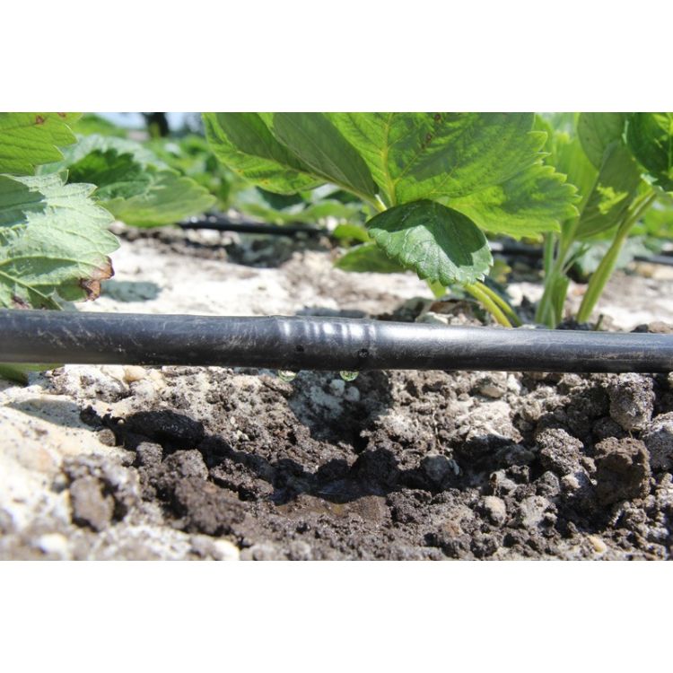 Крапельна трубка багаторічна Argo Drip з крапельницями через 20 см, довжина 200 м з маркуванням метражу (ARD-20-200) - 12