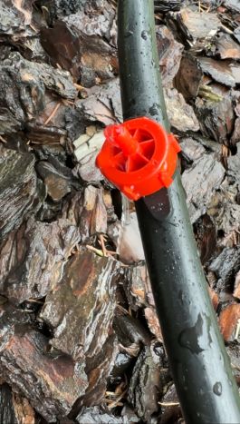 Капельница садовая Presto-PS компенсирована на 4 л/ч (РСТ-0104R) - 4