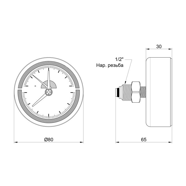 SD Термоманометр задн. подкл. 1/2 Ø80мм 120ºC 6 бар SD1736B - 2
