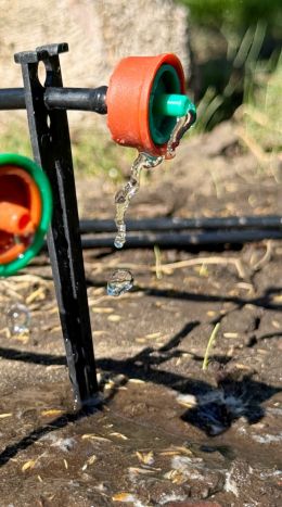 Капельница садовая Presto-PS дозированно-компенсирована на 16 л/час (5116) - 4