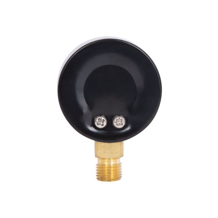 Манометр SD Plus 50мм 1/4&amp;quot;, нижнее подключение 4 бар SD1704B - 6
