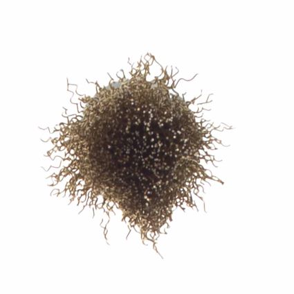 Щетка проволочная конусообразная Ø25мм хвостовик Ø6мм (латунированная) Sigma (9017021) - 3