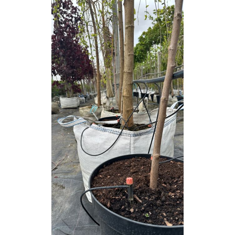 Капельная трубка слепая Presto-PS для садовых капельниц диаметр 3,5 мм, длина 200 м (PVH 3B) - 10