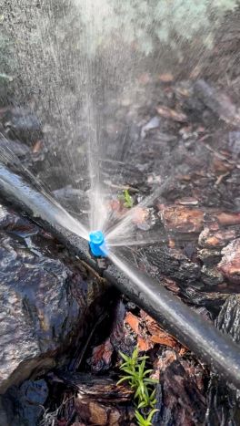 Мікроджет Presto-PS крапельниця для поливу Шуруп 90 л/год 90° (MJS-090) - 4