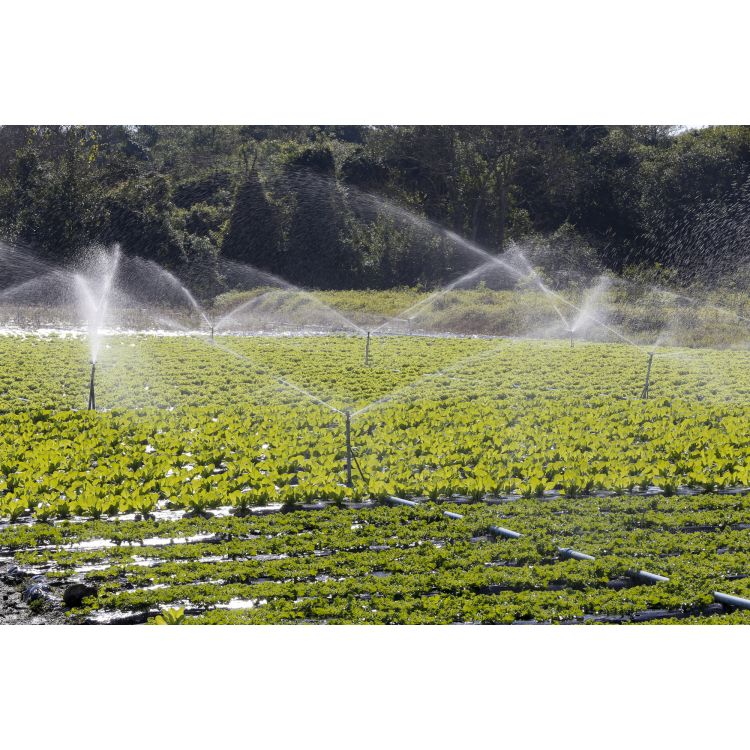 Дощувач Presto-PS зрошувач імпульсний секторний для городу на 2 форсунки (5023) - 3