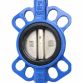 Затвор межфланцевый &amp;quot;баттерфляй&amp;quot; 3'' корпус чугун (GGG50) диск чугун (GGG50) EPDM PN16 FLORA (5080204) - 6