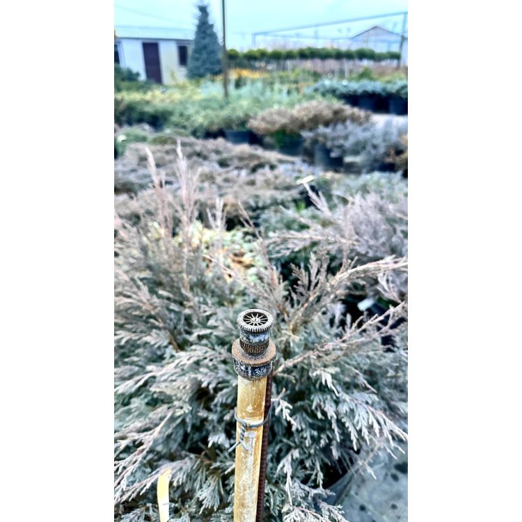 Форсунка від висувних дощувачів з внутрішнім різьбленням 1/2 дюйма Presto-PS (451234) - 6