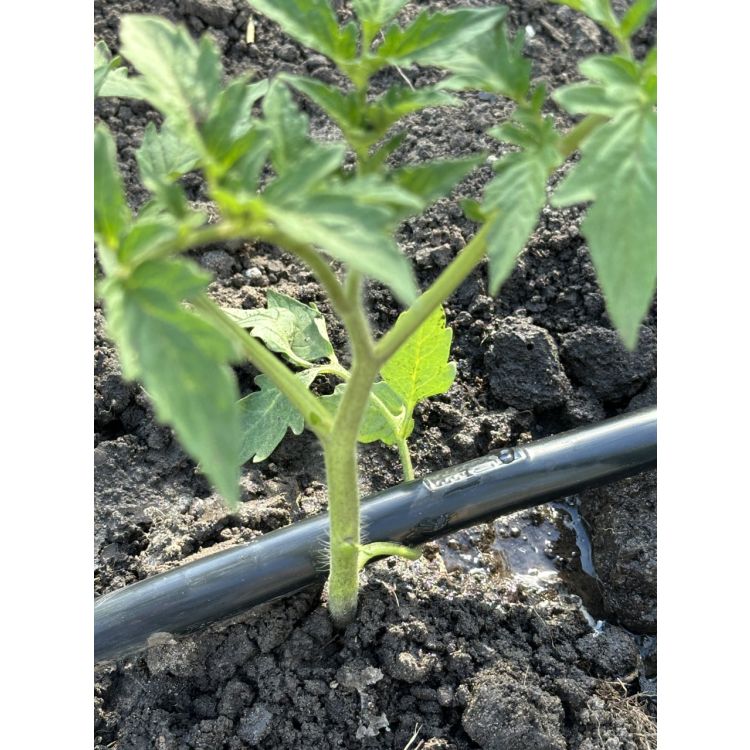 Капельная лента Presto-PS эмиттерная 3D Tube капельницы через 10 см расход 1,38 л/ч, длина 1000 м, в упаковке - 1 шт. (3D-7-10-1000) - 6