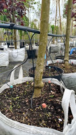 Капельница садовая Presto-PS регулируемая 0-80 л/ч на стойке, в упаковке - 10 шт. (7704) - 2