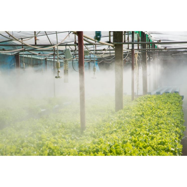 Крапельниця для поливу Presto-PS мікроджет Туман (1454) - 11