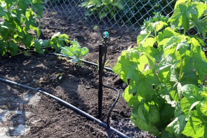 Крапельниця для поливу Presto-PS мікроджет Зонт-А (MS-1101-D) - 4