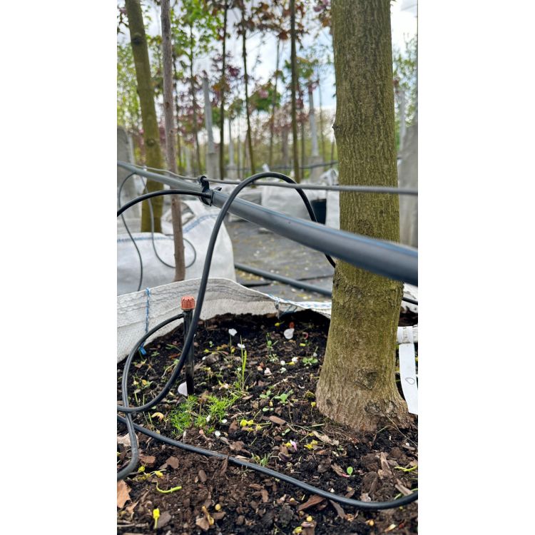 Плашка М16 х 2.0 мм, СИБРТЕХ - 6