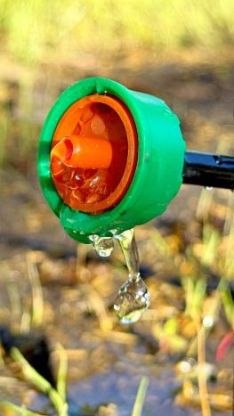 Капельница садовая Presto-PS дозированно-компенсирована на 8 л/ч (5108) - 2