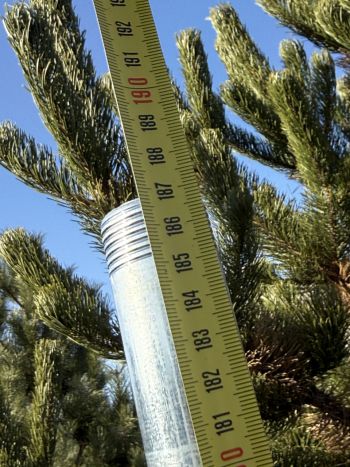 Тренога Presto-PS для дождевателей с наружной резьбой 1 дюйм, высота 100-140 см (14025) - 4