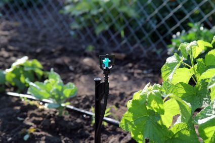 Крапельниця для поливу Presto-PS мікроджет Зонт-А (MS-1101-D) - 5