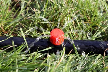 Крапельниця садова Presto-PS регульована 0-70 л/год (1702) - 3