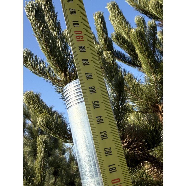 Тренога Presto-PS для дождевателей с наружной резьбой 1 дюйм, высота 100-140 см (14025) - 4