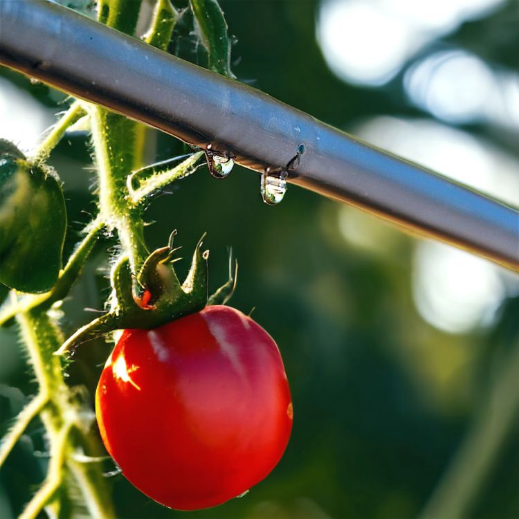 Капельная трубка многолетняя Presto-PS с капельницами через 100 см, длина 200 м (MCL-100-200) - 17