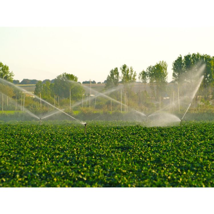 Дощувач Presto-PS зрошувач імпульсний на 2 форсунки з різьбленням 1 дюйм (7025) - 7