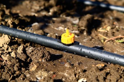 Крапельниця садова Presto-PS компенсована на 2 л/год (РСТ-0102Y) - 5