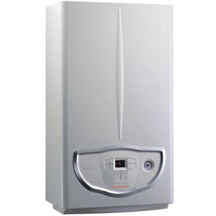 Котел газовый 24 кВт Mini Nike 24 3 E (дымох. с 2 теплообм.) IMMERGAS - 1