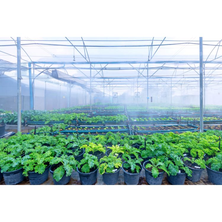 Підвісна установка з клапаном антидренажу Presto-PS та мікроджетом Туман (40301-S) - 11