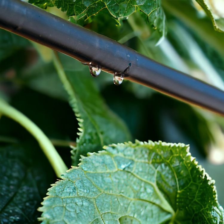 Капельная трубка многолетняя Presto-PS с капельницами через 25 см, длина 200 м (MCL-25-200) - 18