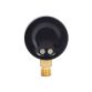 Манометр SD Plus 50мм 1/4&amp;quot;, нижнее подключение 4 бар SD1704B - 6