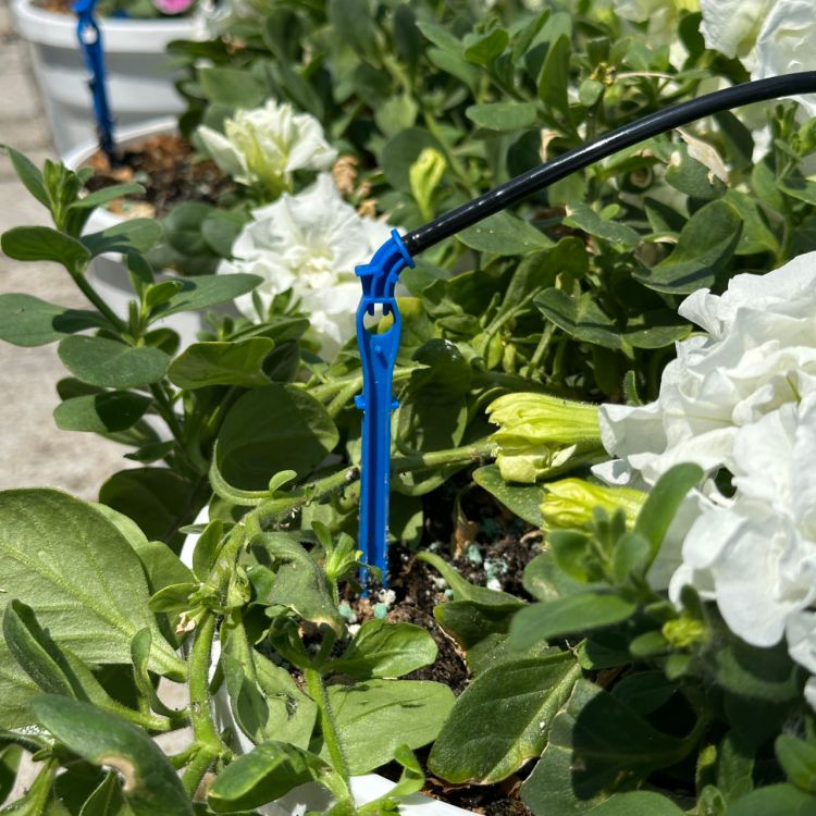 Крапельниця садова Presto-PS 2 л/год (2104) - 6