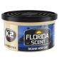 Ароматизатор д/автосалону Florida Scent Нове авто42г(V87NCA)K2 - 1