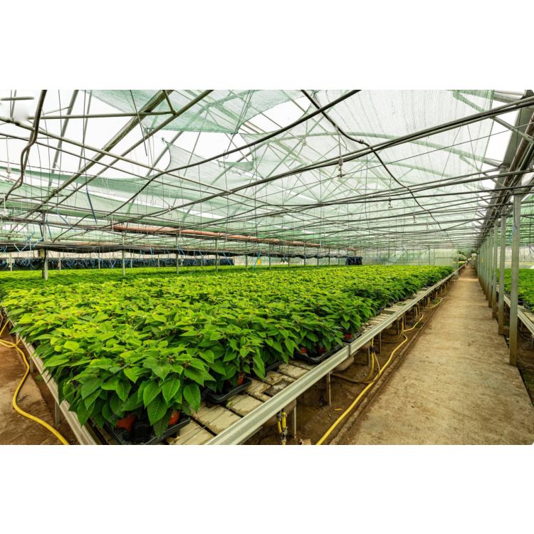 Підвісна установка з клапаном антидренажу Presto-PS та мікроджетом Туман (40301-S) - 12