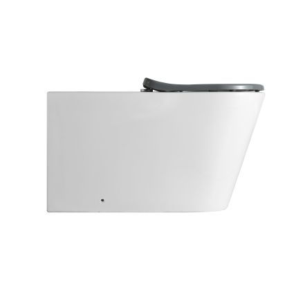 Унітаз підлоговий Freedom інклюзивний безбачковий Rimless сидіння Slim Duroplast/Soft-close/Quickrelase 800x365x435 мм WHITE Qtap - 5