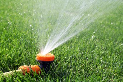 Дождеватель Presto-PS ороситель многофункциональный Грибок (8108) - 4