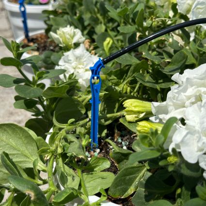 Крапельниця садова Presto-PS 2 л/год (2104) - 6