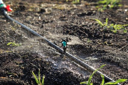 Крапельниця для поливу Presto-PS мікроджет Зонт-А (MS-1101-D) - 3