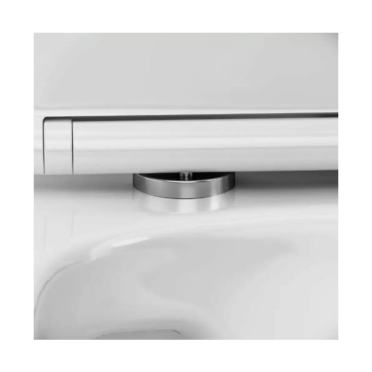 Унитаз-компакт б/ободка с сиденьем микролифт DX46C8600SC Luna AM/PM - 4