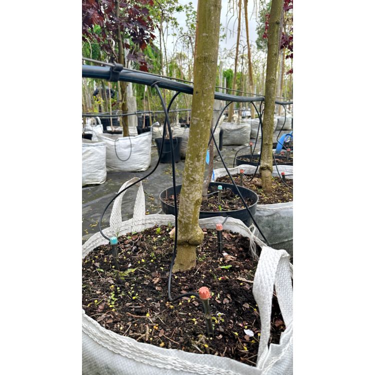 Капельница садовая Presto-PS регулируемая 0-80 л/ч на стойке, в упаковке - 10 шт. (7704) - 2