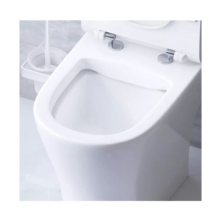 Унитаз-компакт безобедочный с сиденьем микролифт DX86C8600SC Sirius AM/PM - 5