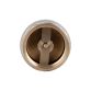 Зворотний клапан Thermo Alliance Standart 1 1/4&amp;quot;ВВ із латунним штоком TAS240W32 - 5