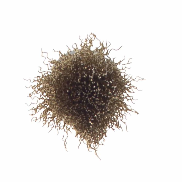 Щетка проволочная конусообразная Ø25мм хвостовик Ø6мм (латунированная) Sigma (9017021) - 3