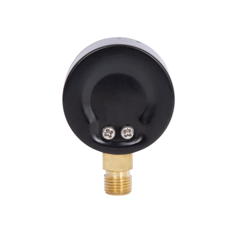 Манометр SD Plus 50мм 1/4&amp;quot;, нижнее подключение 10 бар SD17010B - 6
