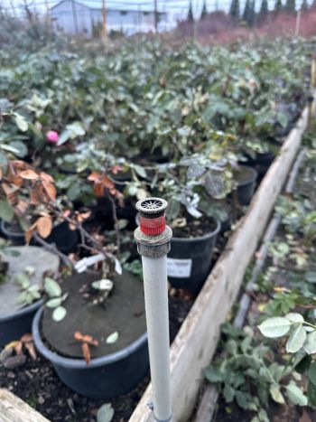 Форсунка від висувних дощувачів з внутрішнім різьбленням 1/2 дюйма Presto-PS (451234) - 3